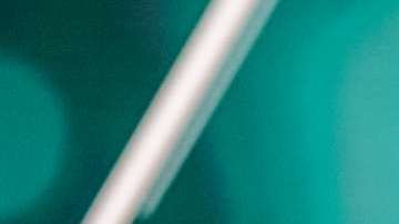 Anne Jakkaphong Jakrajutatip, presidenta del Miss Universo.