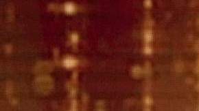 Amanda Dudamel, Miss Venezuela 2021 en el Miss Universo.