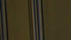 Ninel Conde, actriz mexicana.