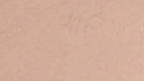 Andrea Legarreta y Erik Rubín se separan | Mezcalent