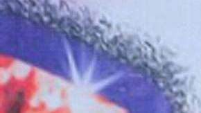 Andrea Legarreta, presentadora de televisión.