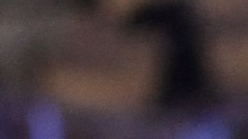 Vin Diesel y Tyrese Gibon