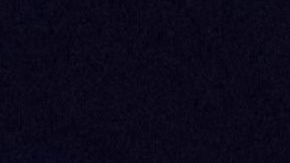 Karol G en Viña del Mar 2023.