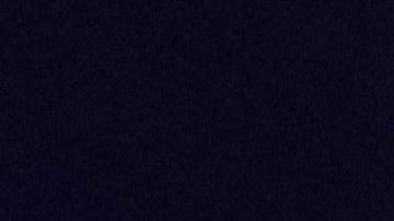 Karol G en Viña del Mar 2023.