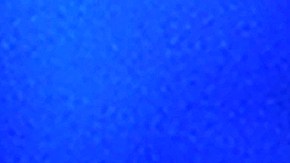 Shakira con su padre