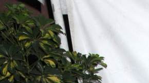 Laura Bozzo, presentadora de televisión.