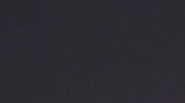 Nadia Ferreira y Marc Anthony