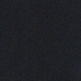 Paty Navidad, cantante y actriz mexicana.