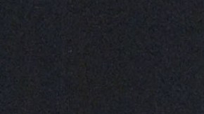 Paty Navidad, cantante y actriz mexicana.