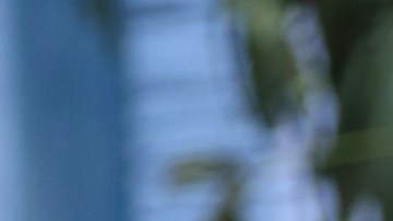 Paty Navidad, actriz mexicana.