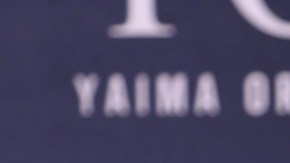 Adamari López, presentadora puertorriqueña de televisión.