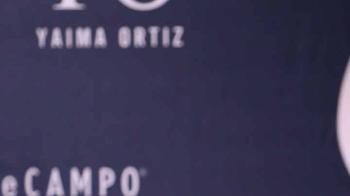 Adamari López, presentadora puertorriqueña de televisión.