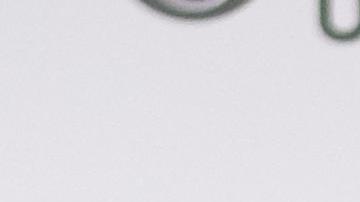 Adamari López, presentadora puertorriqueña de televisión.