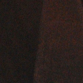 Altair Jarabo, actriz mexicana.