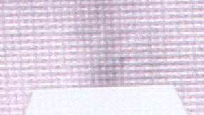 Arturo Carmona, actor mexicano.