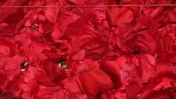 Aylín Mujica, actriz cubana.