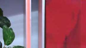 Jomari Goyso y Francisca, de 'Despierta América'.