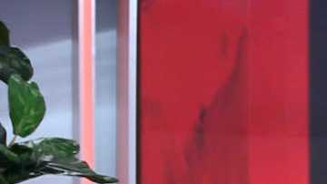 Jomari Goyso y Francisca, de 'Despierta América'.