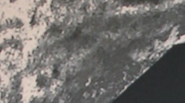 Emilio Estefan y Gloria Estefan.