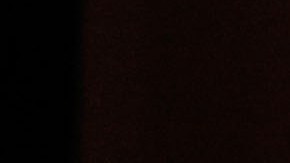 Shakira y sus padres | (Photo by Frazer Harrison/Getty Images for Latin Recording Academy)