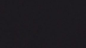 Nadia Ferreira y Marc Anthony.