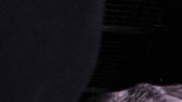 La Casa de los Famosos