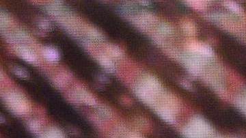 Alejandra Espinoza y Adel Ramones, conductores de 'Mi Famoso y Yo'