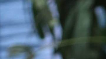 Paty Navidad, actriz mexicana.