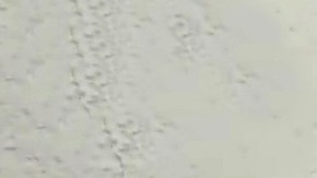 Maribel Guardia y su nuera | Mezcalent