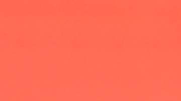 Adamari López, presentadora puertorriqueña de televisión.