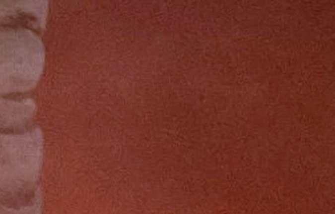 Bad Bunny, cantante puertorriqueño.