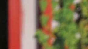 Clarissa Molina, presentadora de televisión.