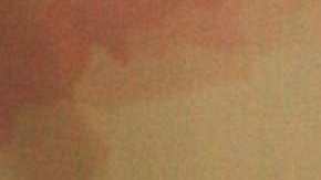 Gaby Spanic, actriz venezolana.