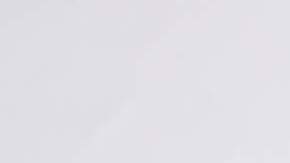 Ninel Conde, actriz mexicana.