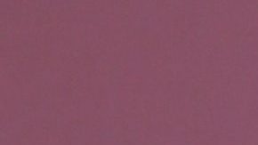 Adamari López pasa un fin de semana fenomenal junto a sus amigos