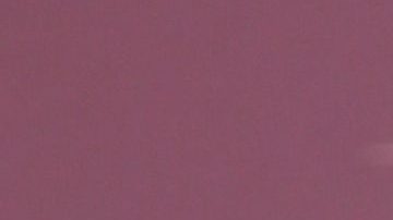 Adamari López pasa un fin de semana fenomenal junto a sus amigos