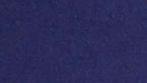 Adamari López, conductora de televisión