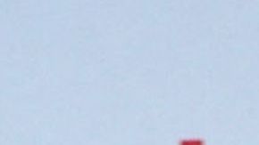 Chiquibaby, presentadora de televisión.