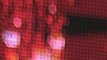 Chiquis Rivera, cantante