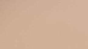 Clarissa Molina, presentadora de televisión.