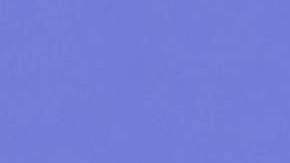 Galilea Montijo, presentadora de televisión.