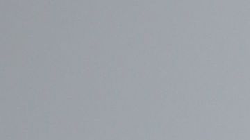 Galilea Montijo, conductora de televisión.