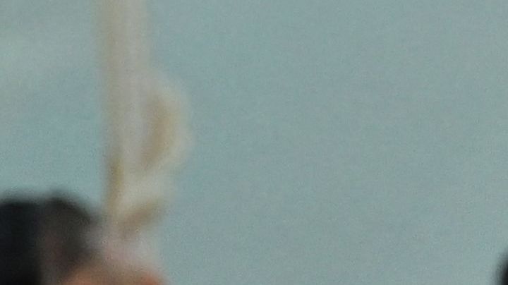 Bad Bunny