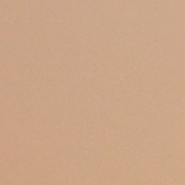 Angelique Boyer y Sebastián Rulli