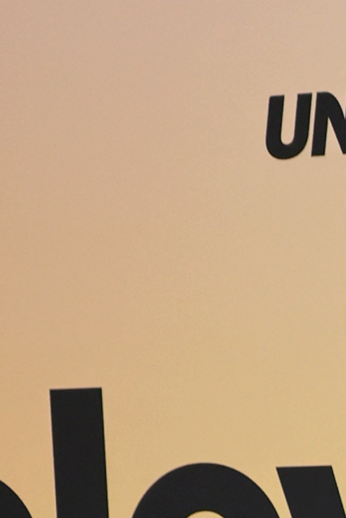 Angelique Boyer y Sebastian Rulli