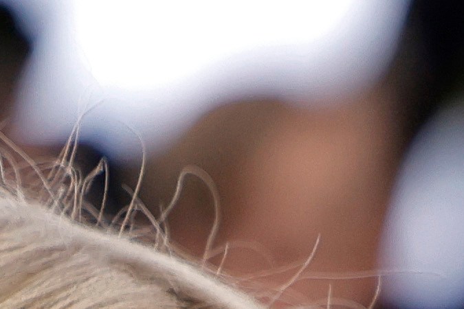 Pauline Pollmann y Johnny Depp junto con Maïwenn