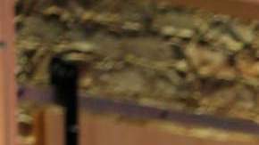 Lili Estefan, presentadora de televisión.