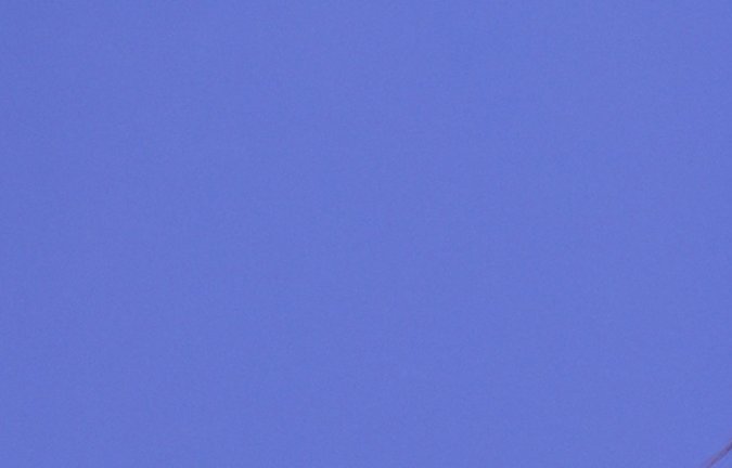 Migbelis Castellanos, presentadora venezolana de televisión.