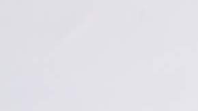 Ninel Conde, actriz mexicana.