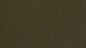 Ninel Conde, actriz mexicana.